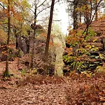 Struppi Saechsische Schweiz Daire