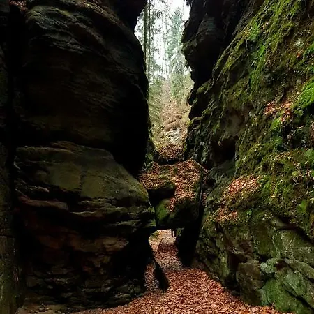 Daire Struppi Saechsische Schweiz