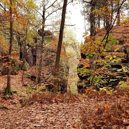 Struppi Saechsische Schweiz Daire